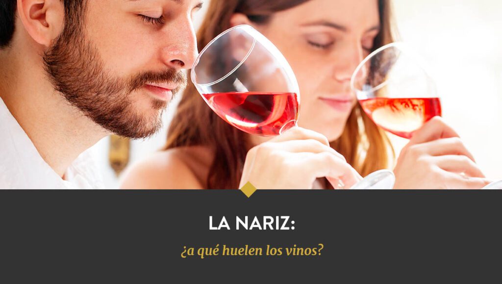 La nariz: ¿a qué huelen los vinos?