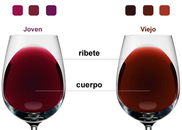 Descubre los secretos del color del vino